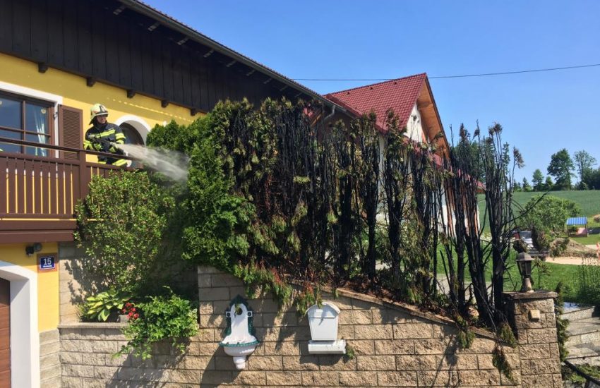 Tujenbrand in der Kinzlstraße