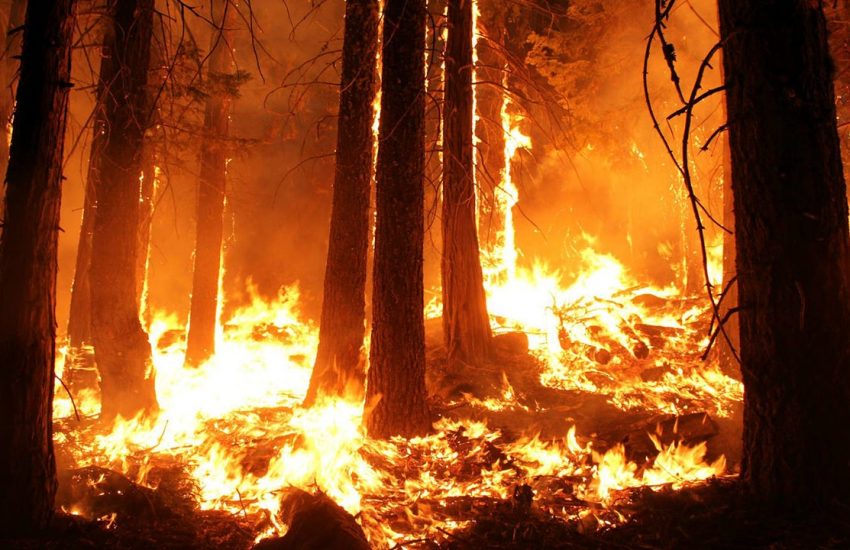 Waldbrandschutzverordnung
