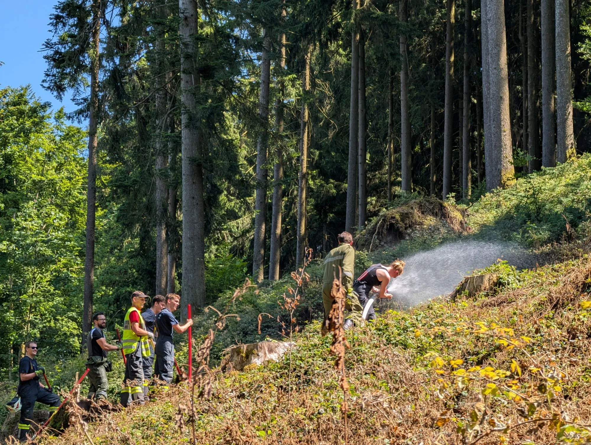 Waldbrandübung der Feuerwehr Altenhof